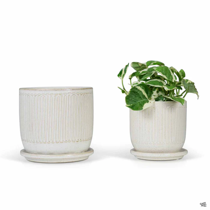 Minnetonka Pot