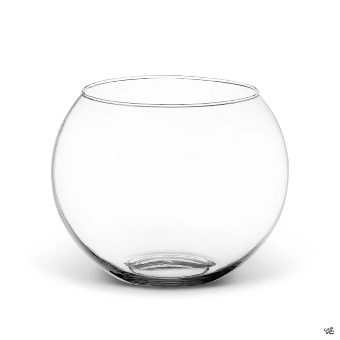 Bubble Glass Terrarium
