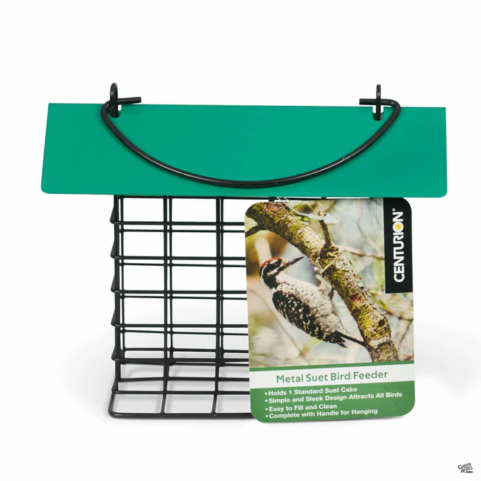 Suet Bird Feeder