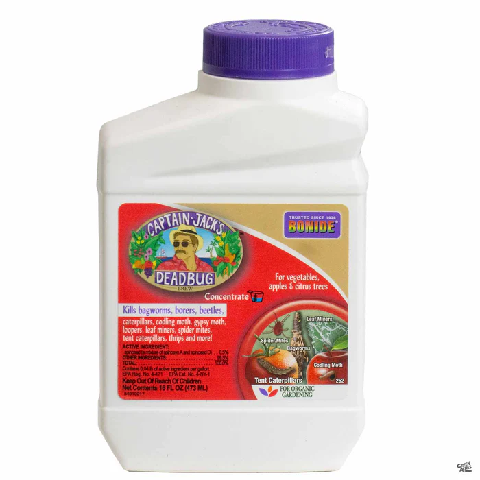 Bonide Captain Jack's Deadbug Brew 16 oz Concentrate