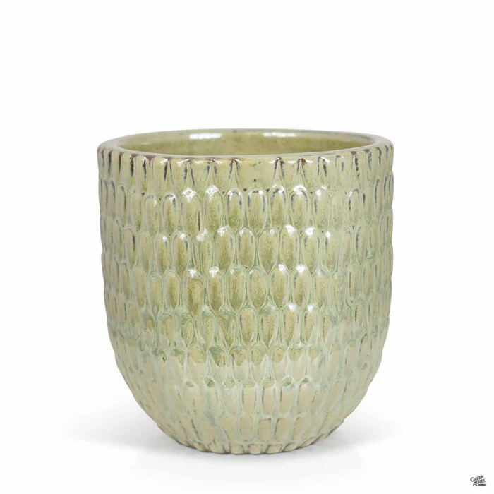 Matias Planter