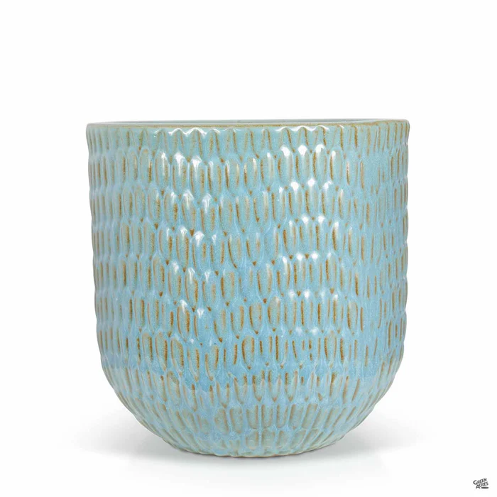 Matias Planter