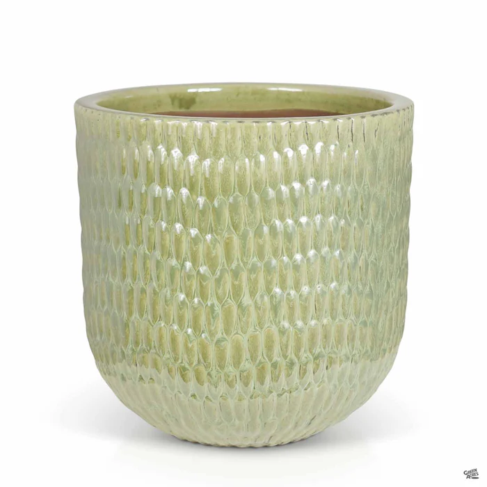 Matias Planter