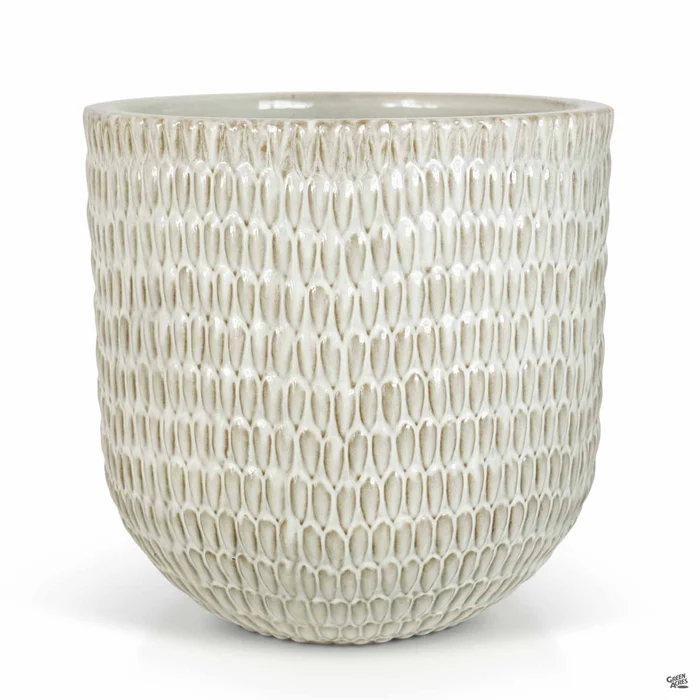Matias Planter