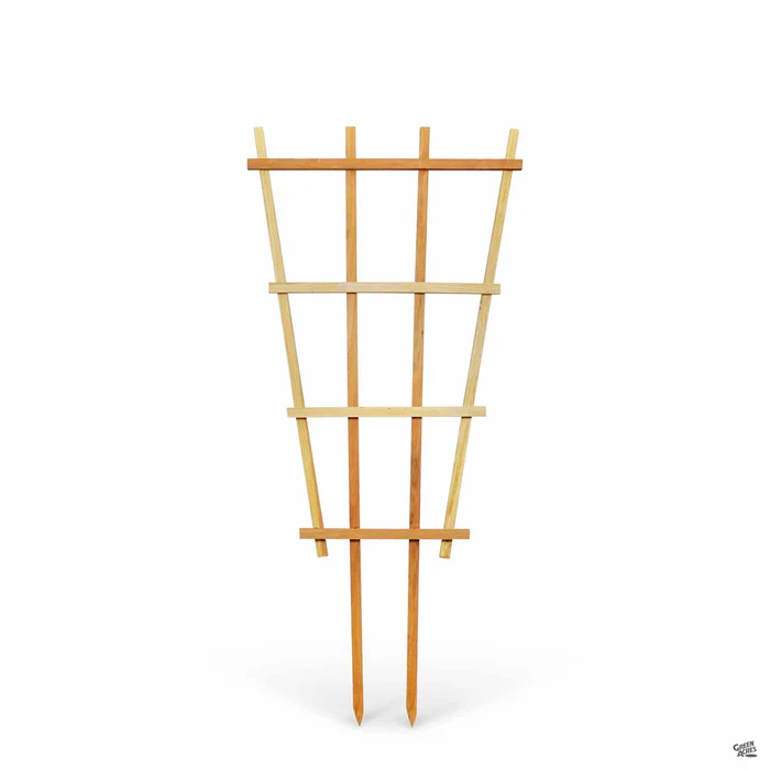 Redwood Fan Trellis