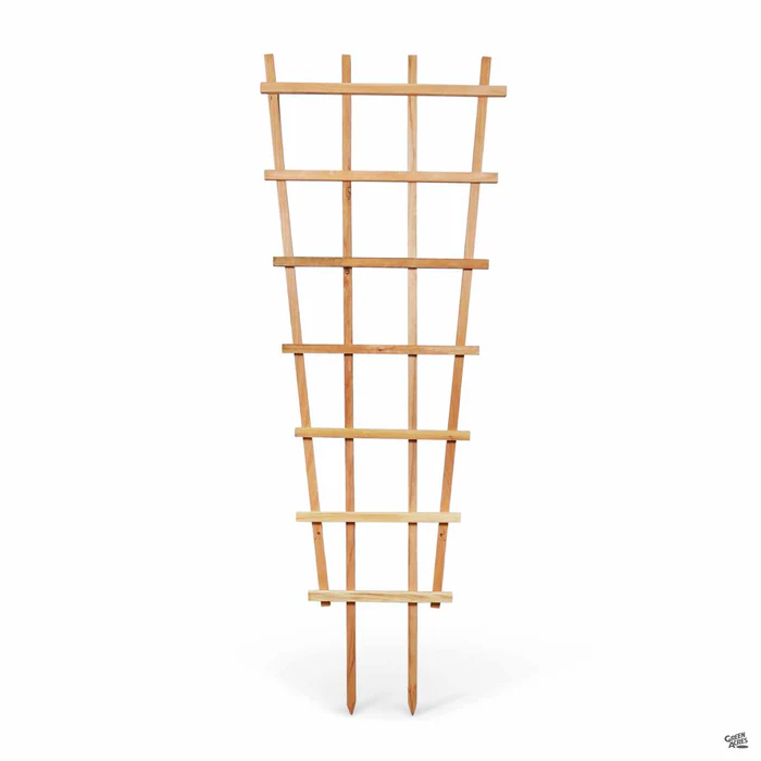 Redwood Fan Trellis