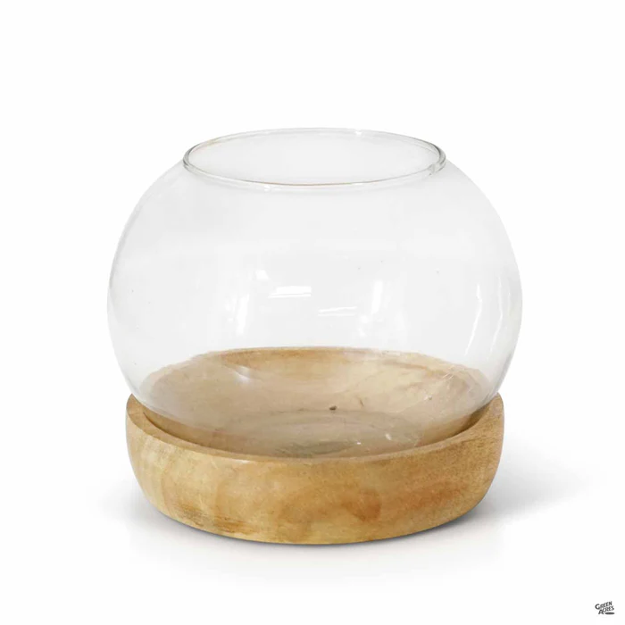 4966-full-view-terrarium-1.webp Full View Terrarium
