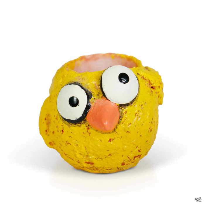 4971-baby-chickie-mini-planter-2.webp Baby Chickie Mini Planter