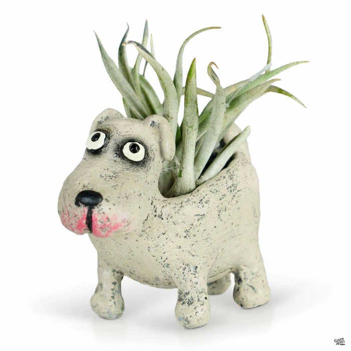 Petunia The Dog Mini Planter