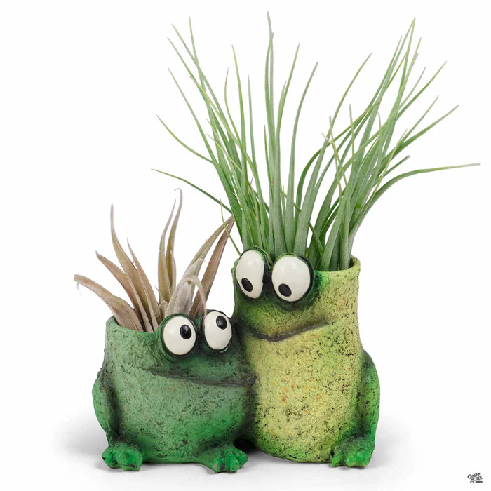 Frog Pals Mini Planter