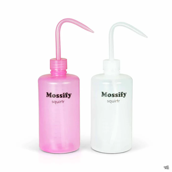 4991-mossify-squirtr-1.webp Mossify squirtr