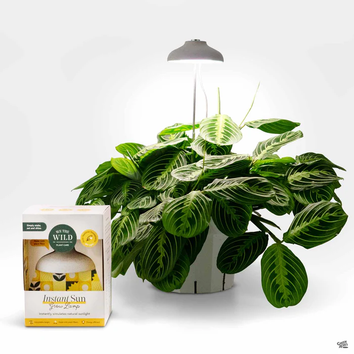 4992-instant-sun-grow-lamp-1.webp Instant Sun Grow Lamp