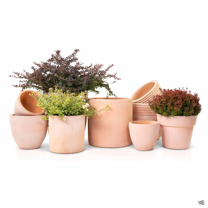 North Coast Pottery