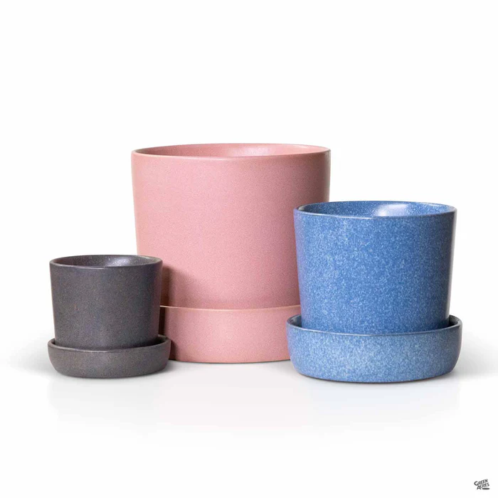 Watson Pot