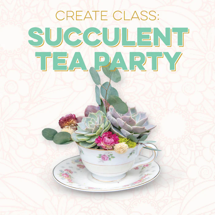 CREATE Class: Succulent Tea Party