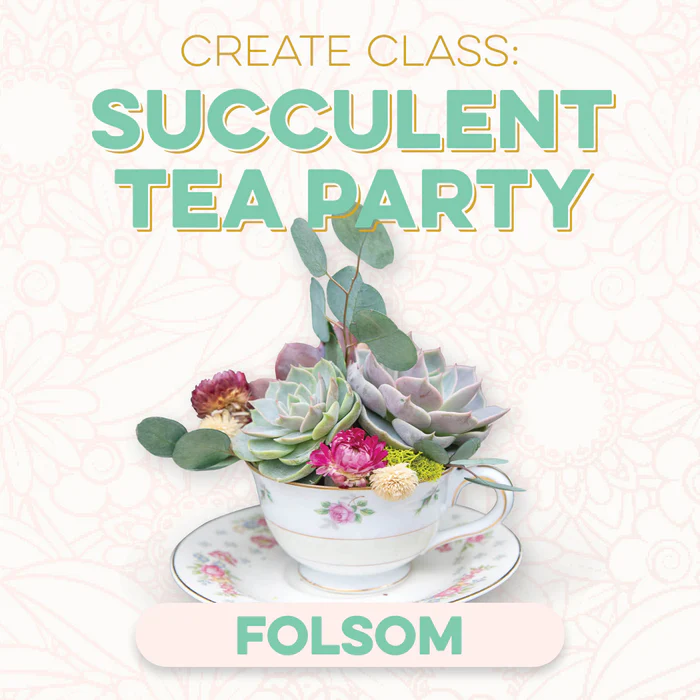 CREATE Class: Succulent Tea Party