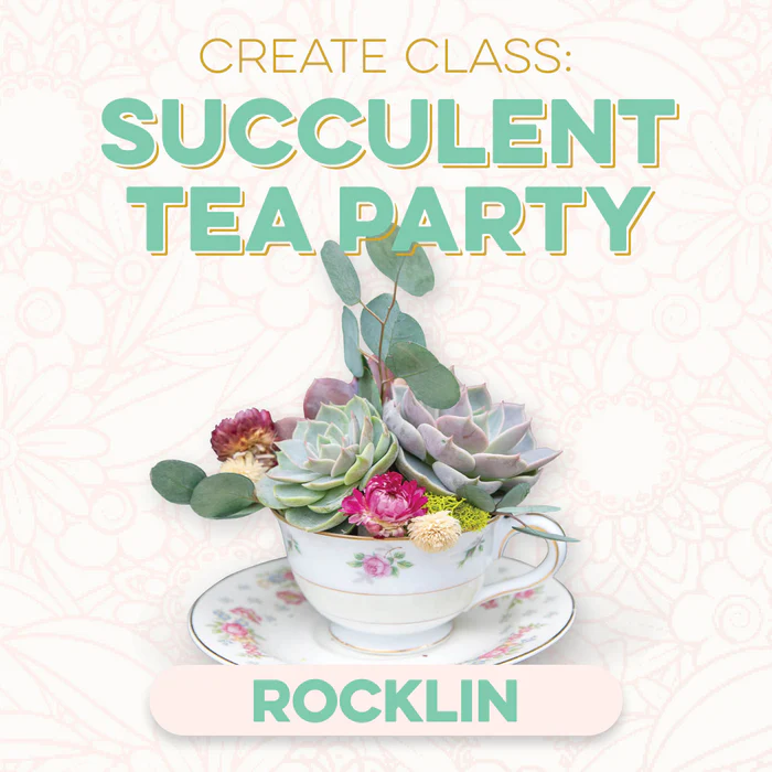 CREATE Class: Succulent Tea Party