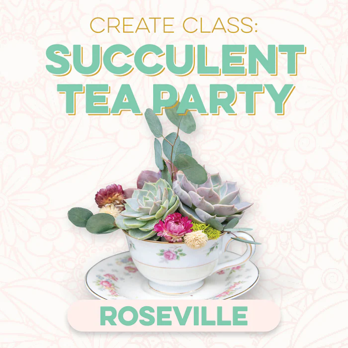 CREATE Class: Succulent Tea Party