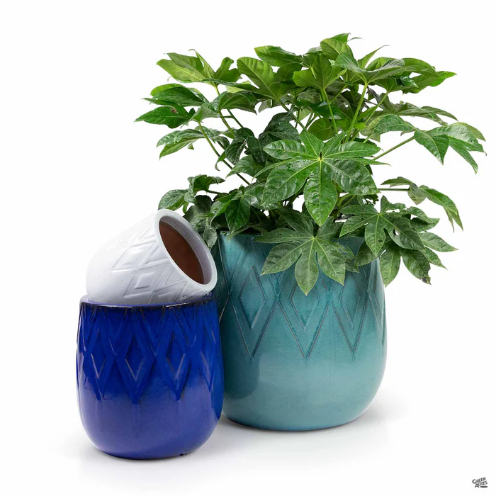 5146-deuce-diamond-planter-1.webp Deuce Diamond Planter