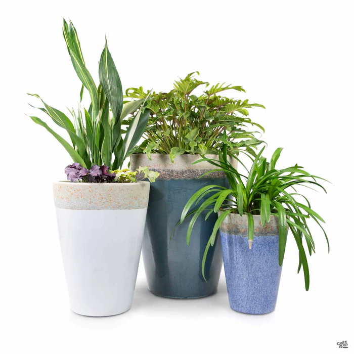 Indira Tall Lava Planter