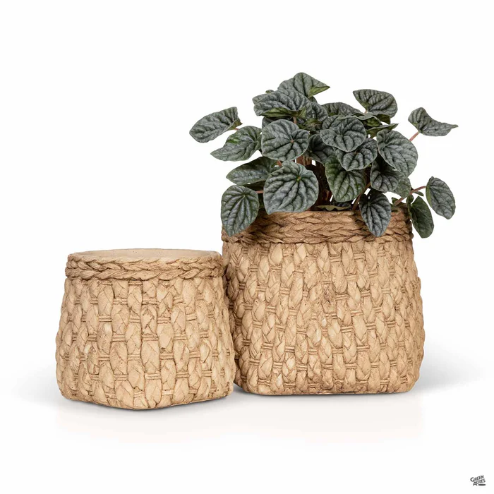 5217-basket-sack-planters-1.webp Basket Sack Planters