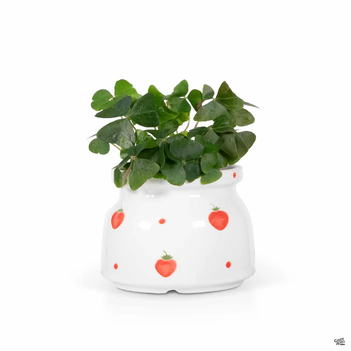 5324-strawberry-crock-planter-1.webp Strawberry Crock Planter