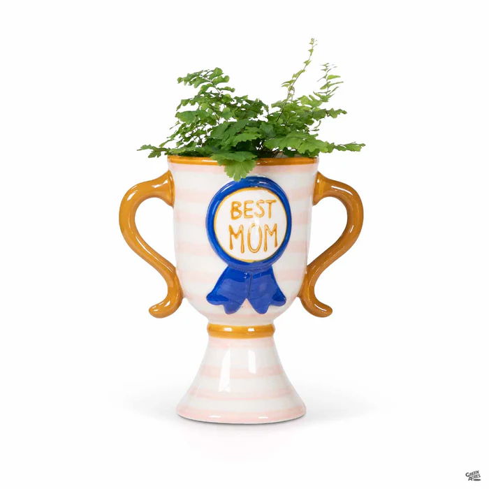 5327-best-mom-trophy-vase-1.webp Best Mom Trophy Vase