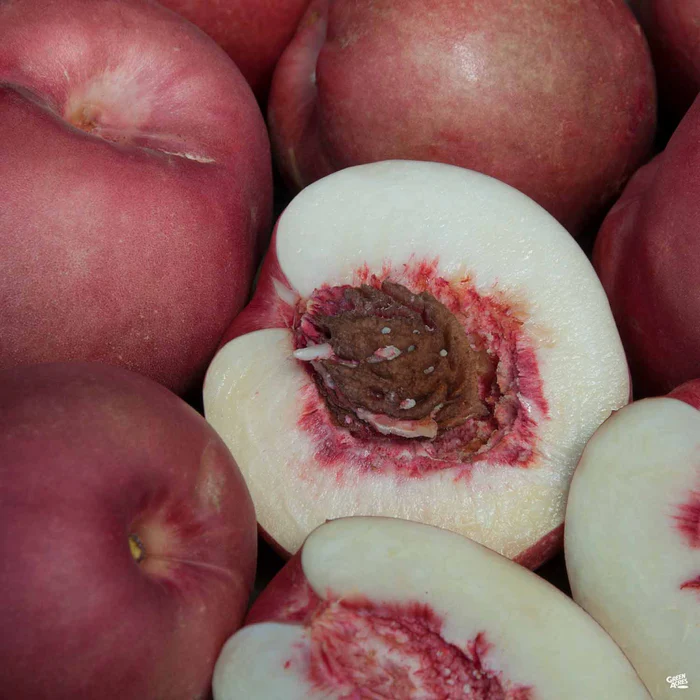 683-nectaplum-spice-zee-bareroot-1.webp Nectaplum 'Spice Zee' Bareroot