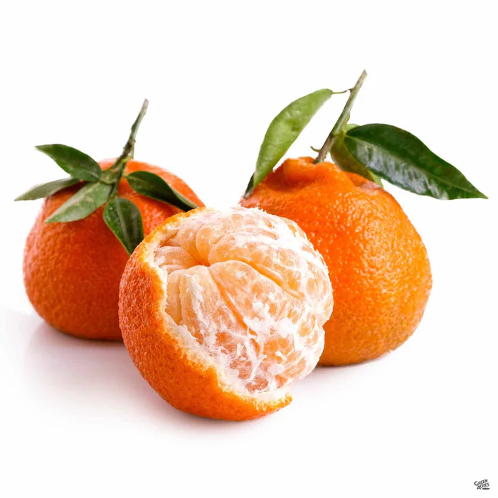 716-mandarin-owari-satsuma-semi-dwarf-2.webp Mandarin 'Owari Satsuma', Semi-Dwarf