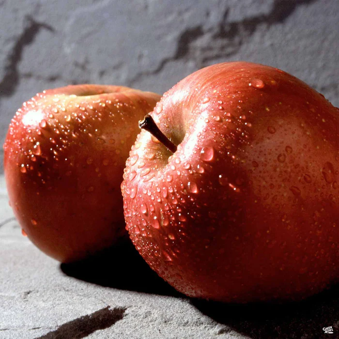 Apple 'Fuji', Dwarf