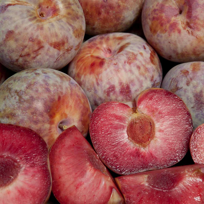 Dapple Dandy Pluot Interspecific Plum