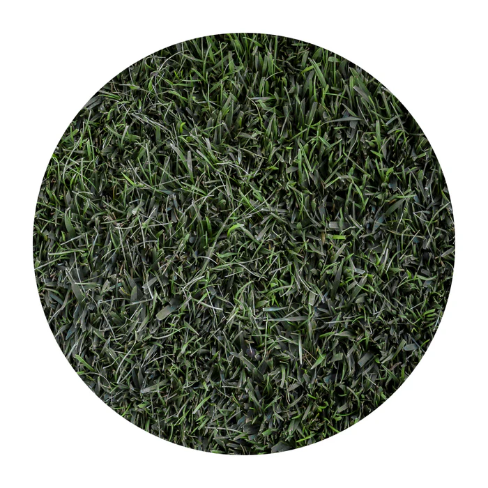 871-bolero-plus-1.webp Bolero Plus