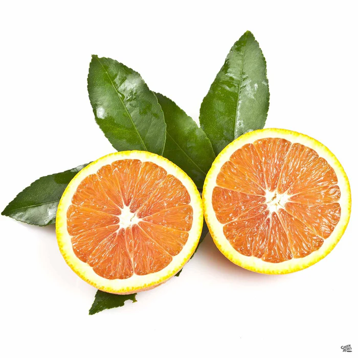 Navel Orange 'Cara Cara', Semi-Dwarf